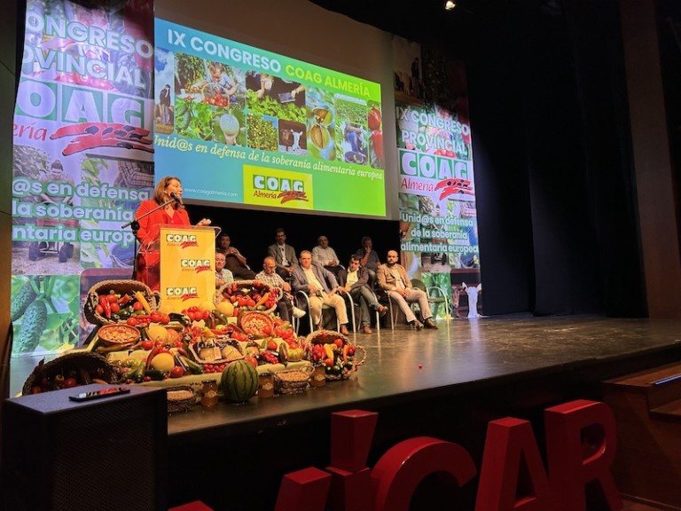 Almería relevo generacional