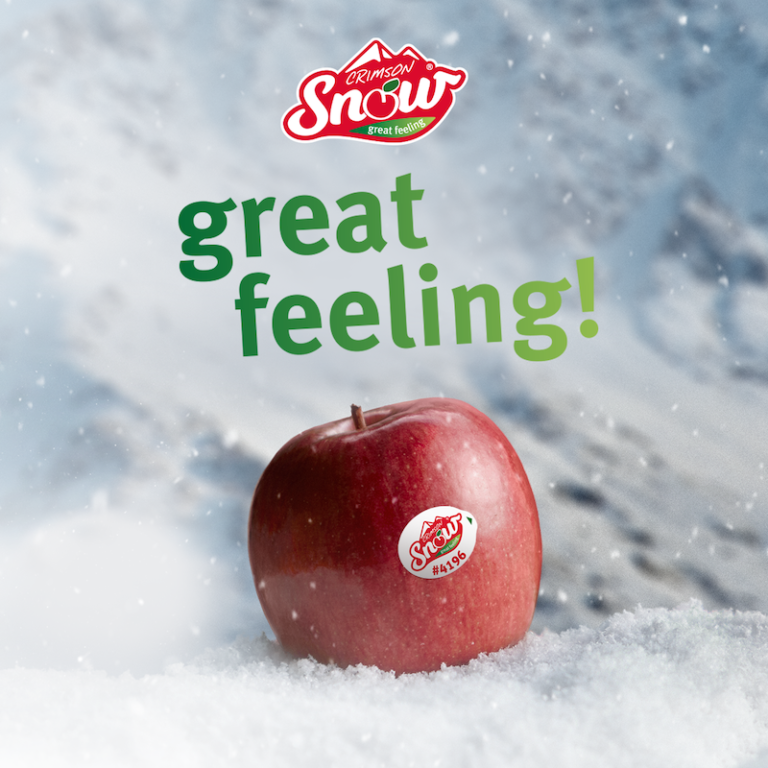 manzana Crimson® Snow