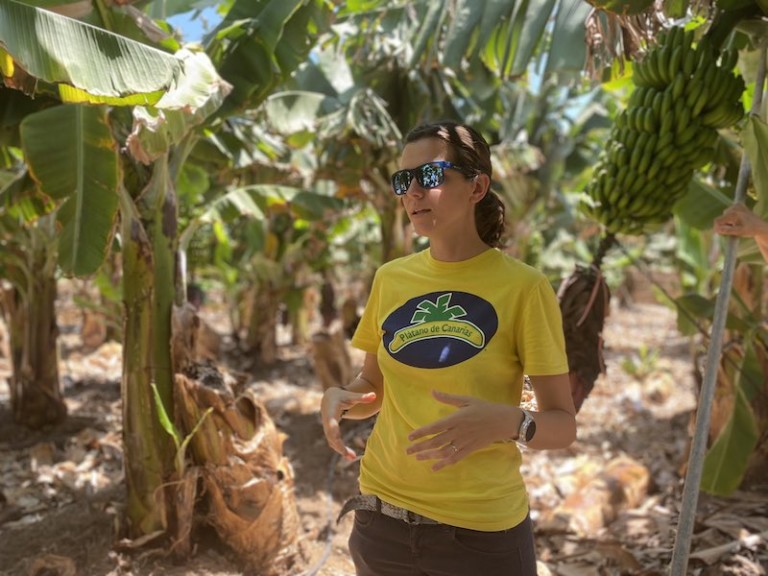 Plátano control integrado