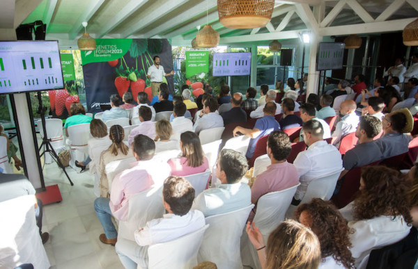 fresa extratemprana planasa