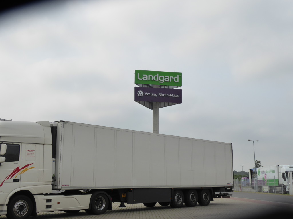 recesión cambio climático