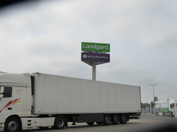 recesión cambio climático