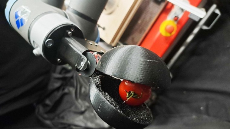 investigadores suizos IA cosechar tomates