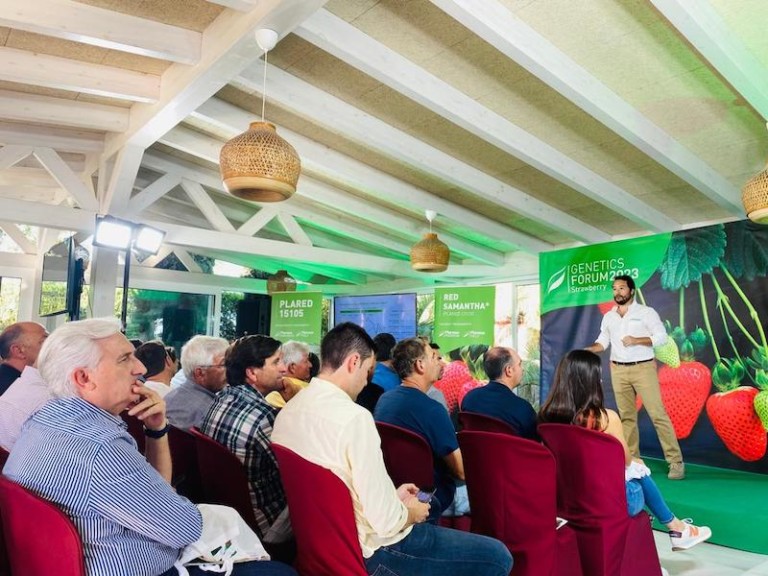 RedSayra Red Samantha cadenas europeas