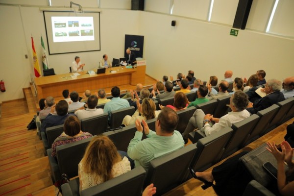 Puerto de Algeciras mercado turco