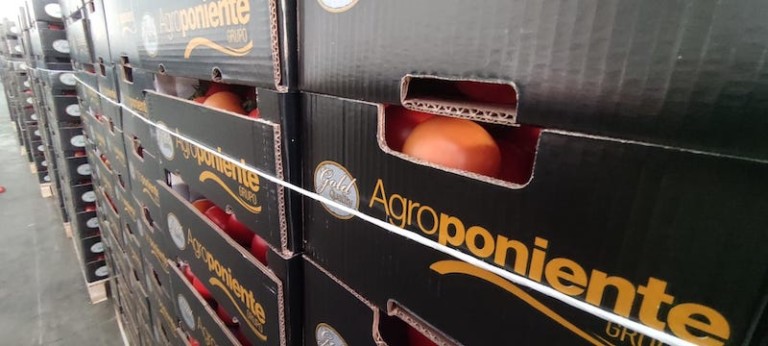 Agroponiente subastas