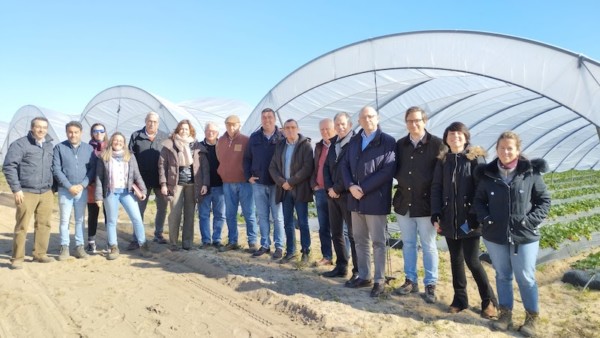 Freshuelva Ifapa desinfección suelos