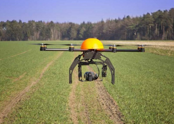 Murcia drones campo