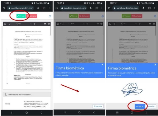 Grupo Agroponiente registro contratos
