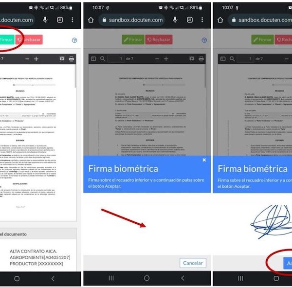 Grupo Agroponiente registro contratos