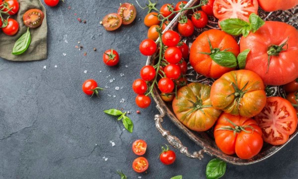 consumidores Ametller tomates