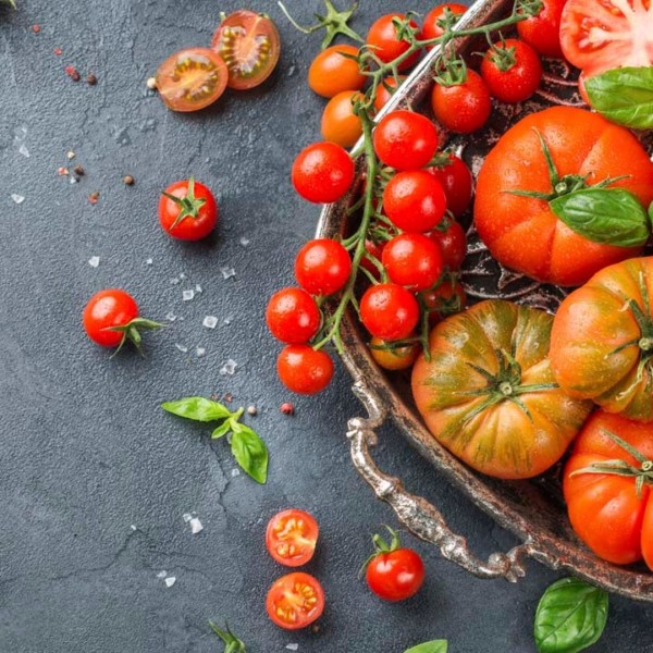 consumidores Ametller tomates