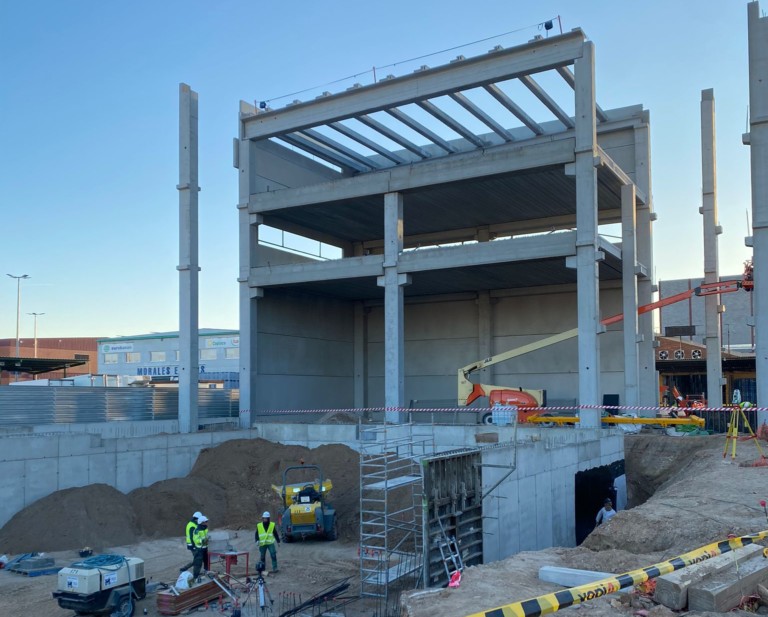 Cultivar mangos aguacates