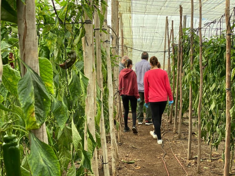 crisis bio MJ Agroasesores