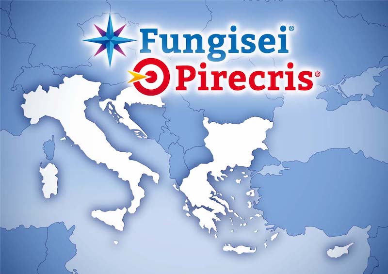 Seipasa Fungisei Pirecris