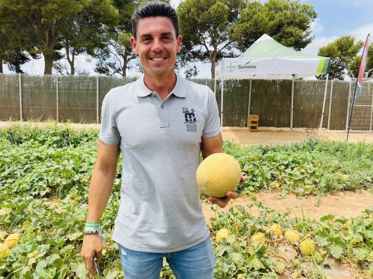 Seminis melón Galia aire libre