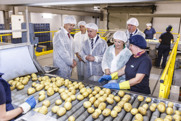 Udapa envasado patatas