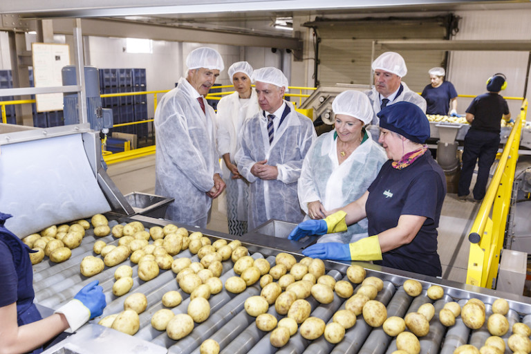 Udapa envasado patatas