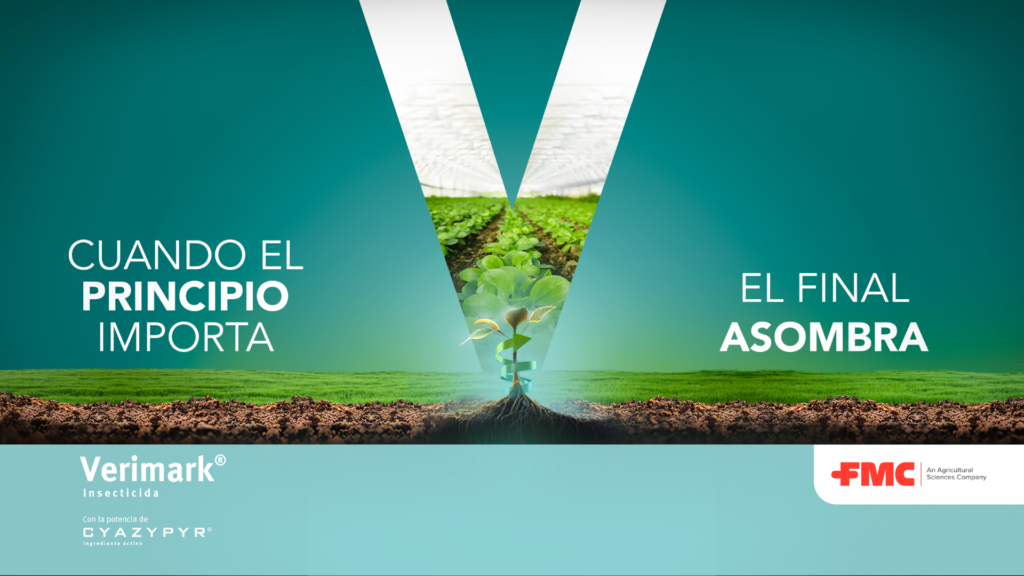 FMC Innovation Awards