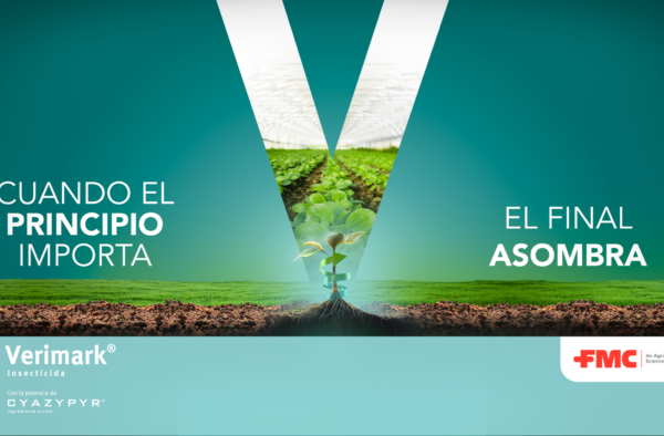 FMC Innovation Awards