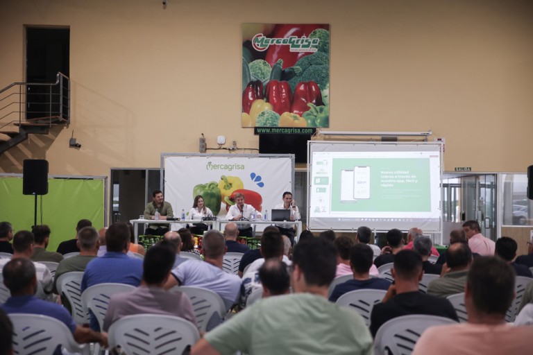 Mercagrisa APP