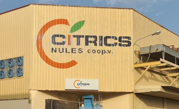 Cítrics de Nules ERE