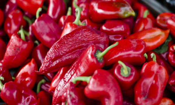 pimientos clorpirifos