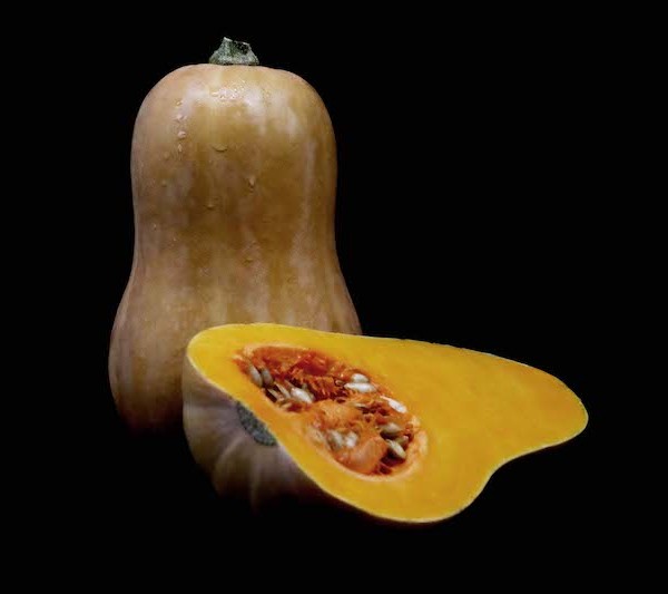 Sakata consumidor Madrid