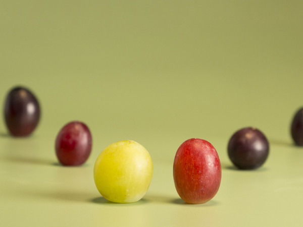 Uvasdoce Fruit Attraction