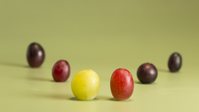 Uvasdoce Fruit Attraction