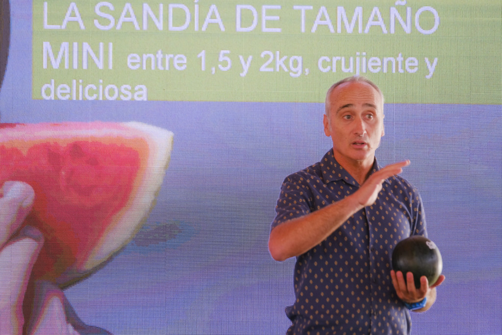 Rijk Zwaan sandía Candy Ball