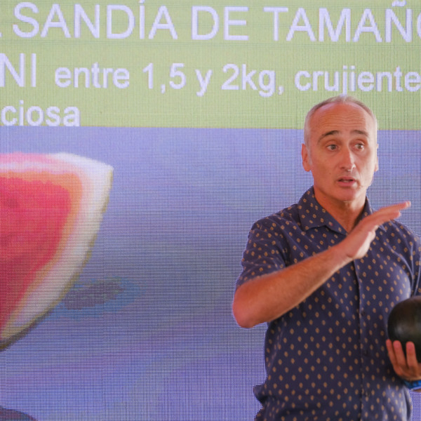 Rijk Zwaan sandía Candy Ball