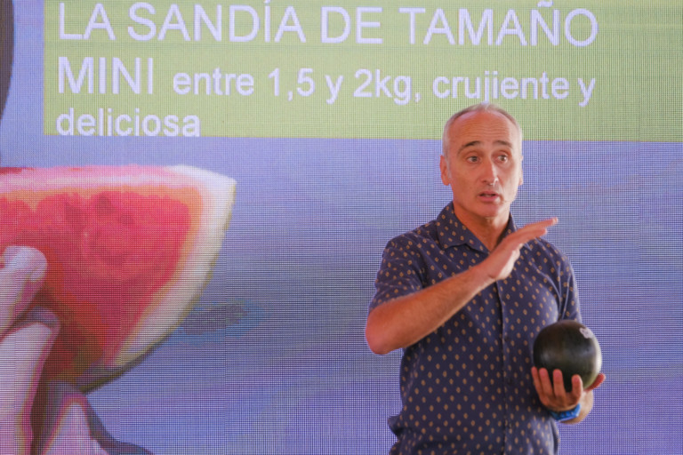 Rijk Zwaan sandía Candy Ball