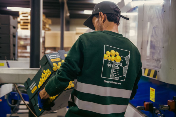 Limonar de Santomera cítricos