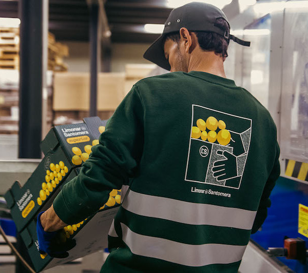 Limonar de Santomera cítricos