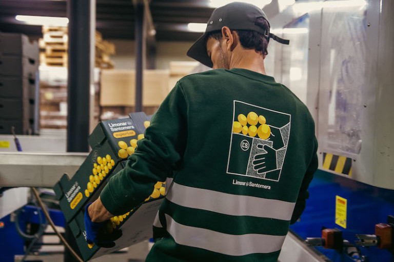 Limonar de Santomera cítricos