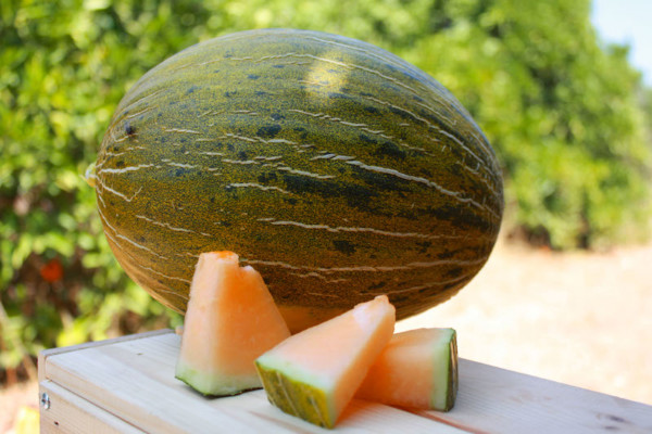 Intersemillas innovación Fruit Attraction