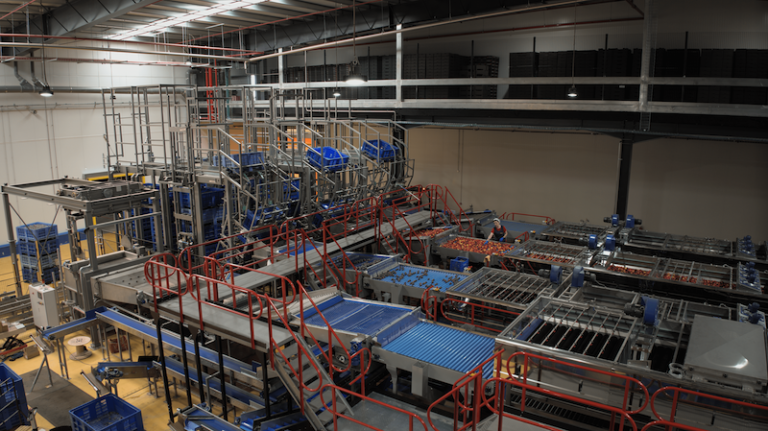 procesado fruta de hueso