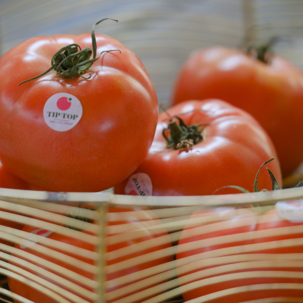 Rijk Zwaan tomate Tip-top