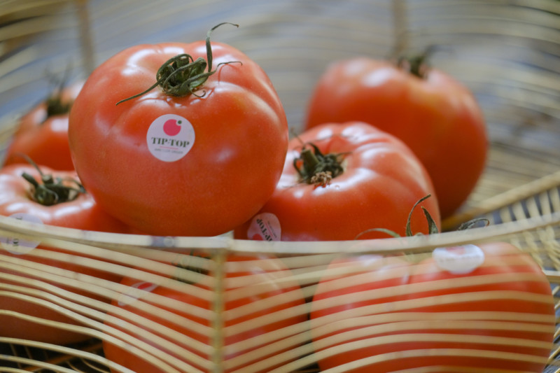 Rijk Zwaan tomate Tip-top