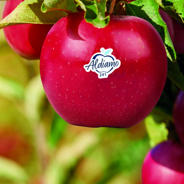 Aldi Süd manzanas