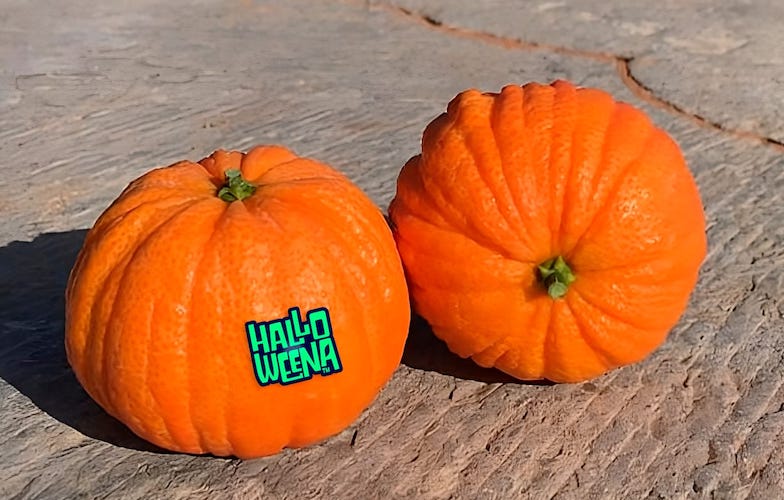 Halloweena mandarina