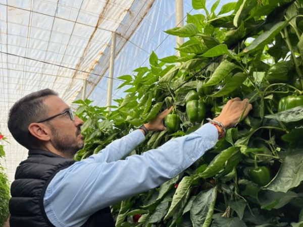 HM.Clause Abraham ceniza