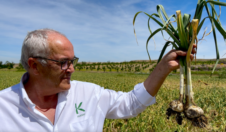 Koppert control biológico cebolla ajo puerro