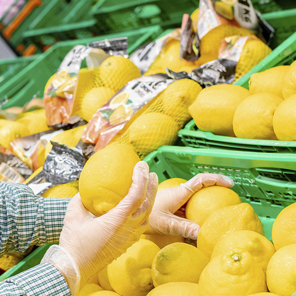 limones campo supermercado