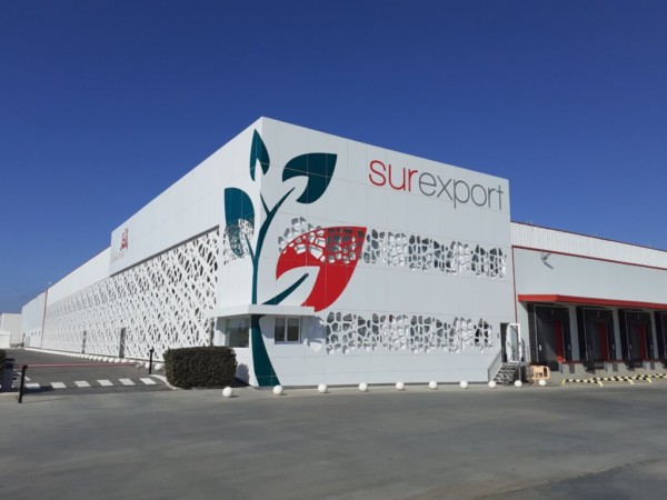 Surexport Jong Fruit