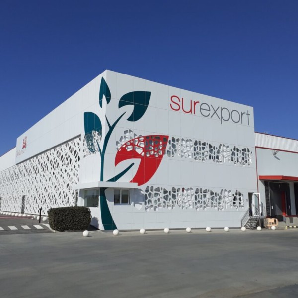 Surexport Jong Fruit