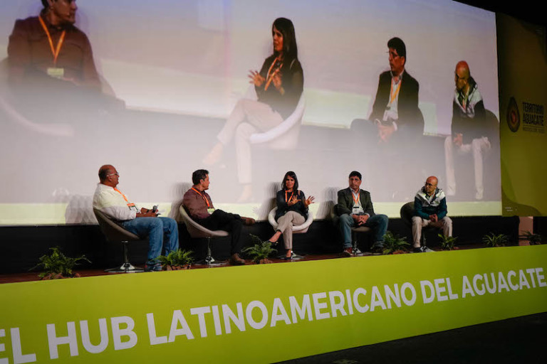 Territorio Aguacate industria