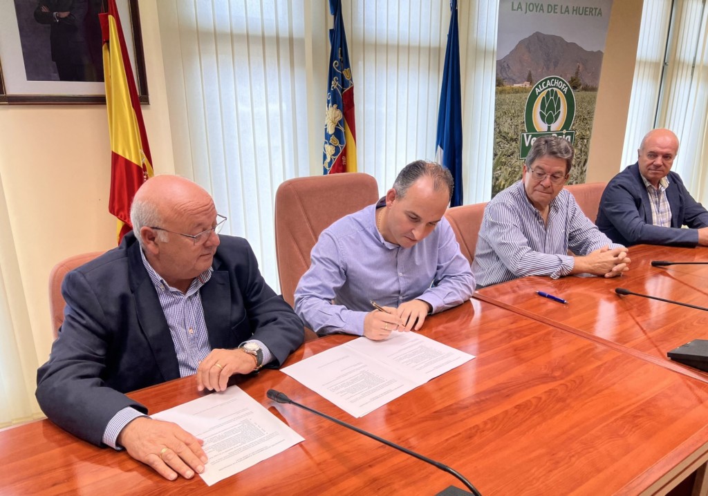 Formentera del Segura alcachofa