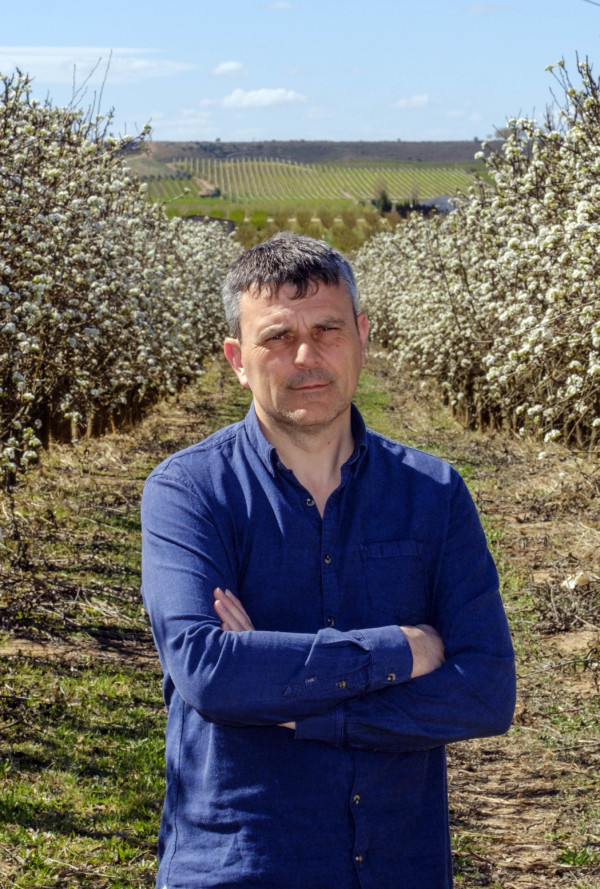 pera Rocha Brasil Williams